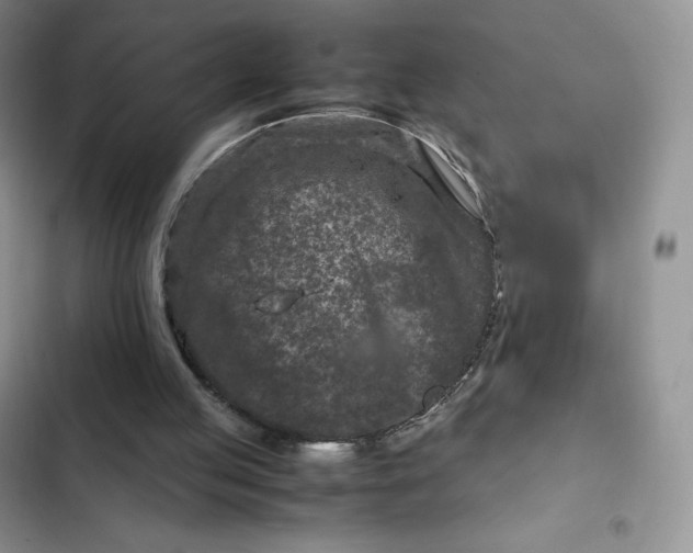 X0000102510053200808221827