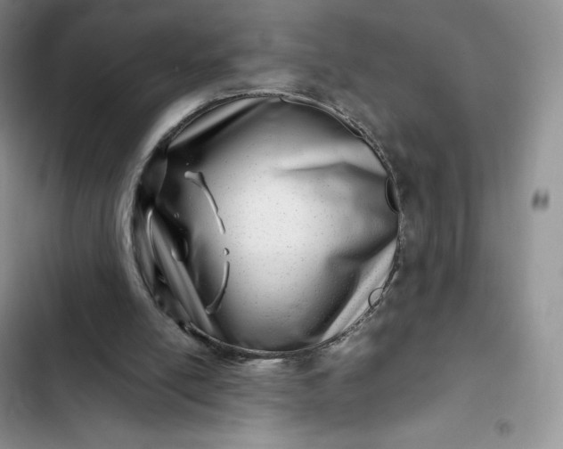X0000102510054200808221827