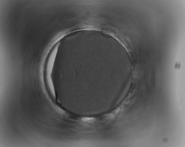 X0000102510055200808221827