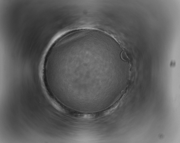 X0000102510056200808221827
