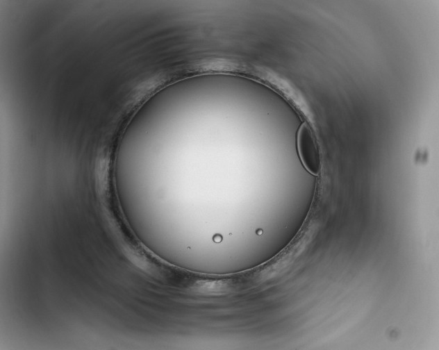 X0000102510057200808221827