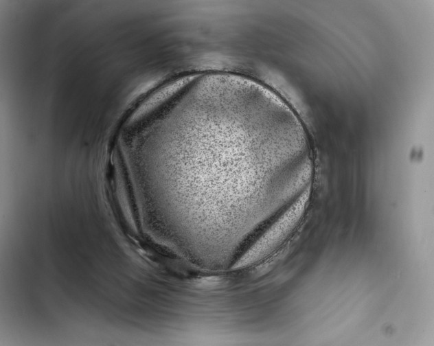 X0000102510058200808221827