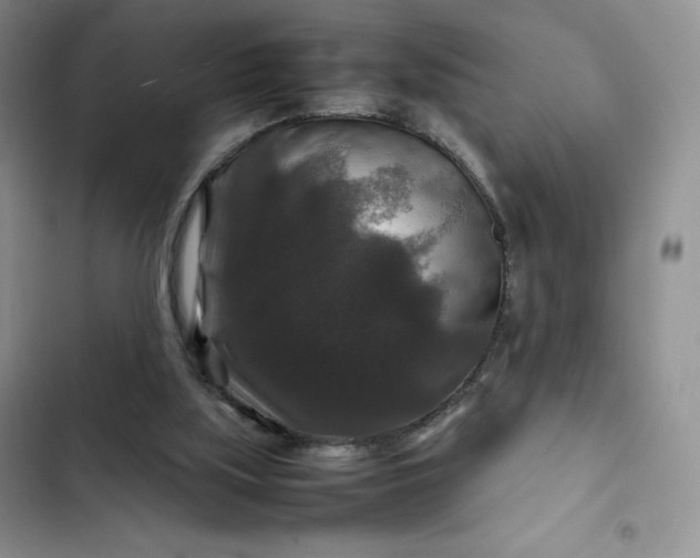 X0000102510059200808221827