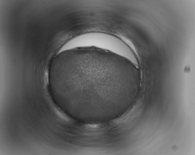 X0000102510061200808221827
