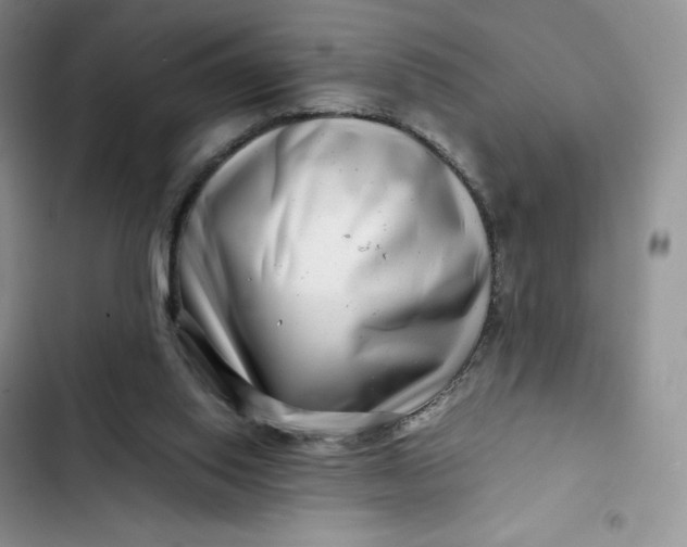 X0000102510062200808221827