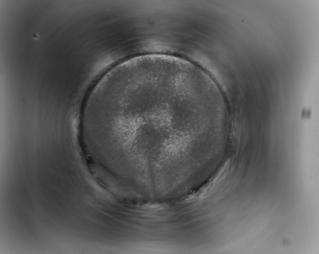 X0000102510063200808221827