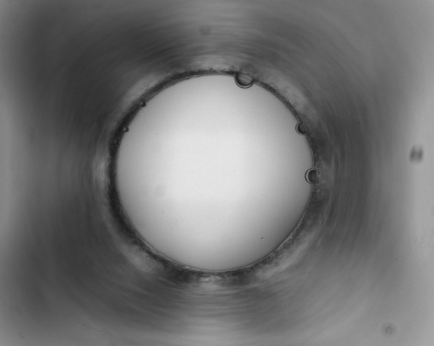 X0000102510064200808221827