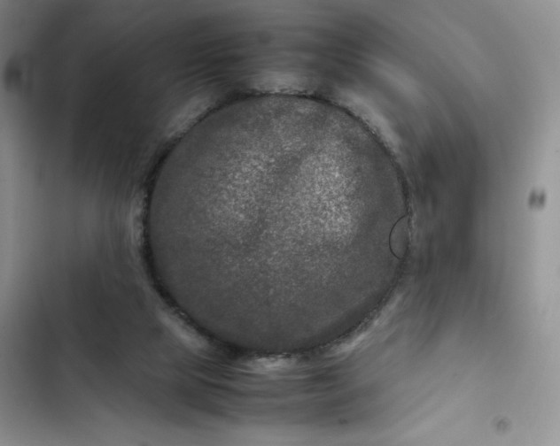 X0000102510065200808221827