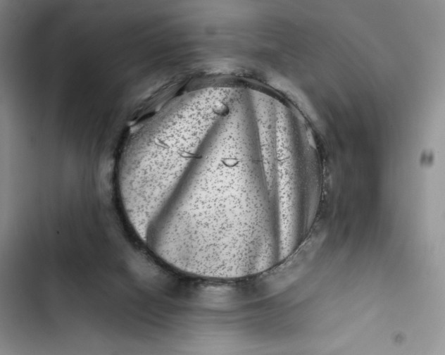 X0000102510066200808221827