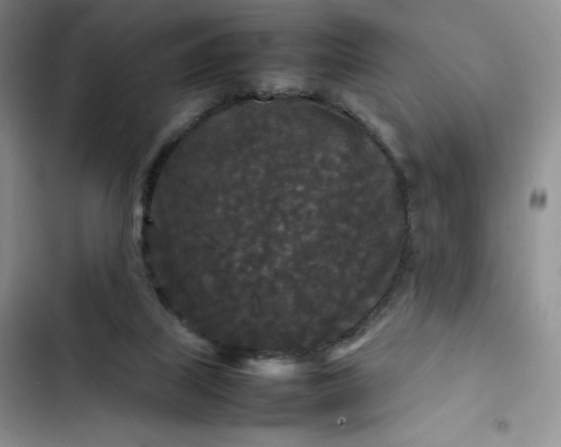 X0000102510067200808221827
