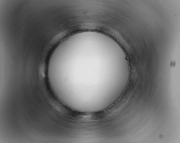 X0000102510068200808221827