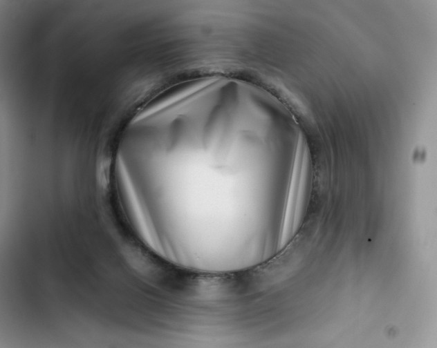 X0000102510070200808221827