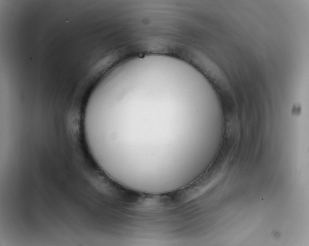 X0000102510072200808221827