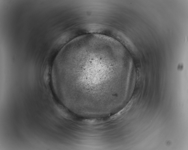 X0000102510074200808221827