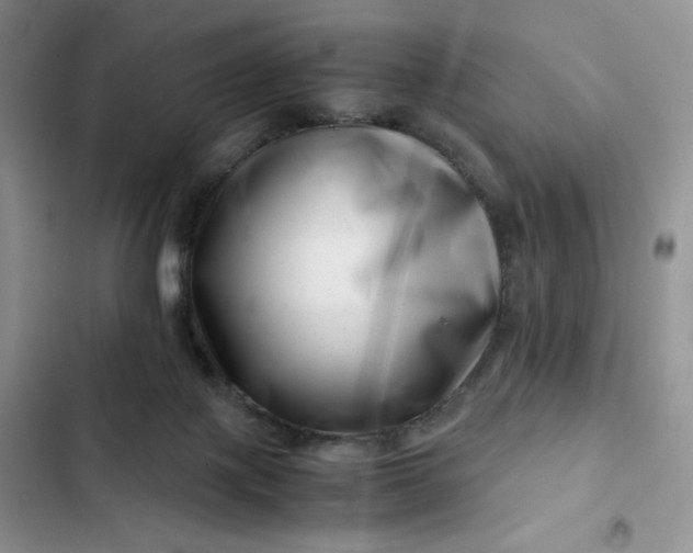 X0000102510075200808221827