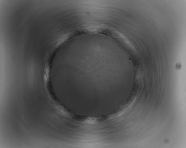 X0000102510076200808221827