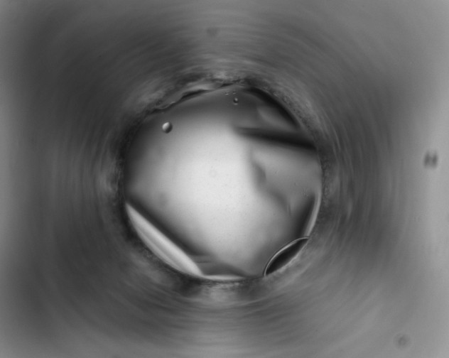 X0000102510078200808221827