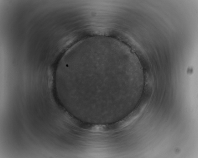 X0000102510080200808221827