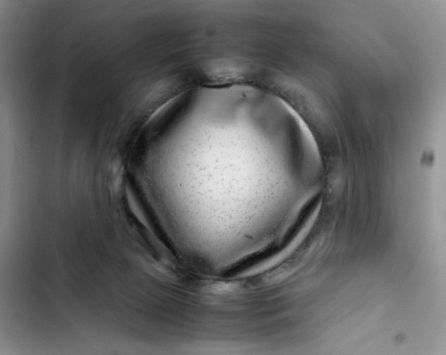 X0000102510081200808221827