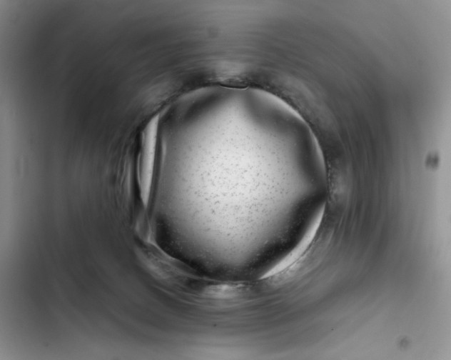 X0000102510082200808221827
