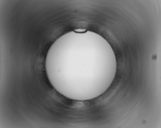 X0000102510083200808221828