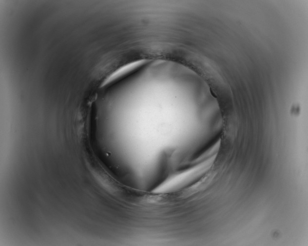 X0000102510086200808221828