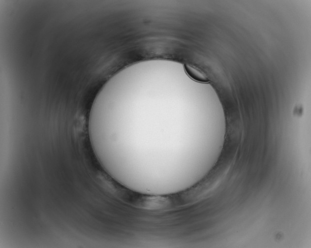 X0000102510087200808221828