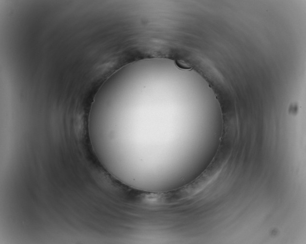 X0000102510088200808221828