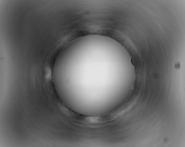 X0000102510089200808221828