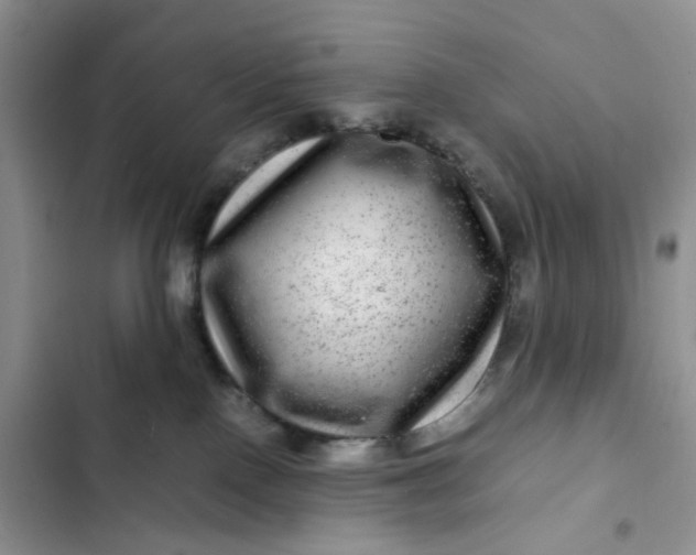 X0000102510090200808221828