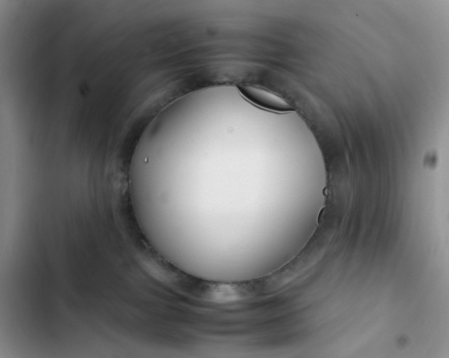 X0000102510091200808221828