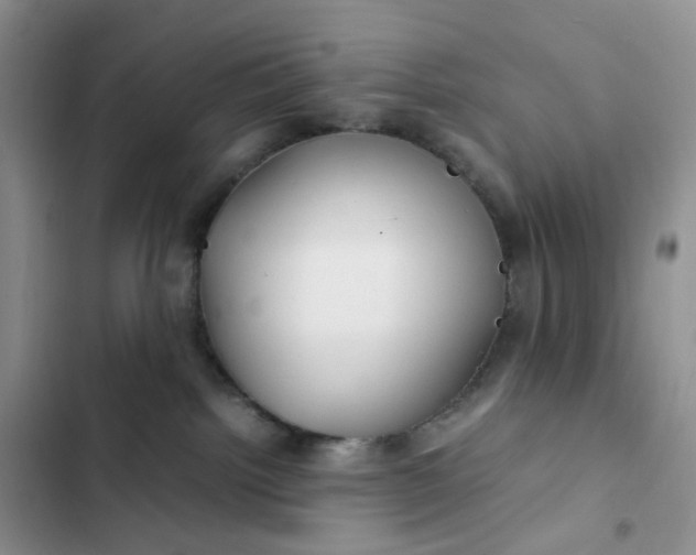 X0000102510092200808221828