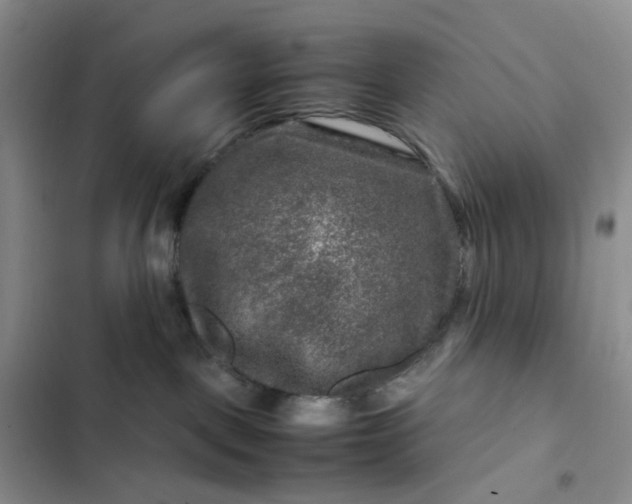 X0000102510093200808221828