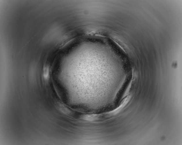 X0000102510094200808221828