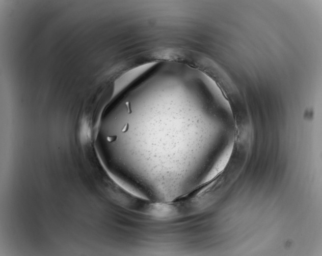 X0000102510095200808221828