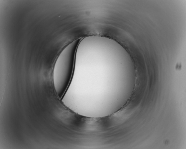 X0000102510096200808221828
