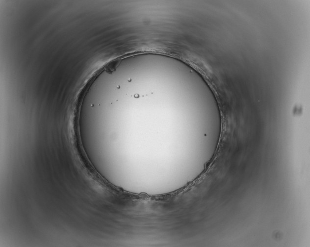 X0000102510098200808221827