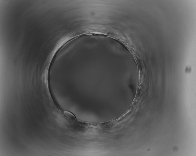 X0000102510099200808221827