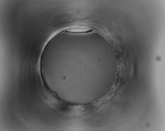 X0000102510100200808221827
