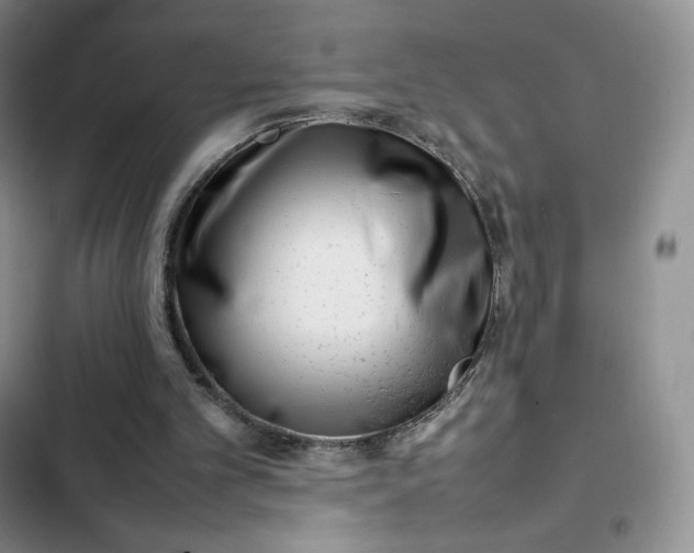 X0000102510101200808221827