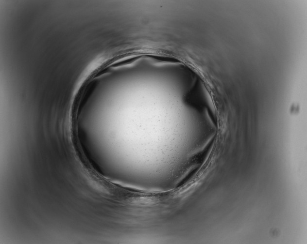 X0000102510102200808221827