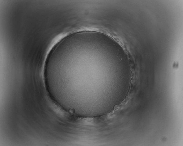 X0000102510104200808221827