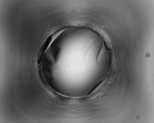 X0000102510105200808221827