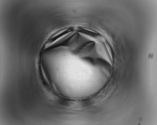 X0000102510107200808221827