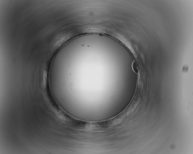 X0000102510109200808221827
