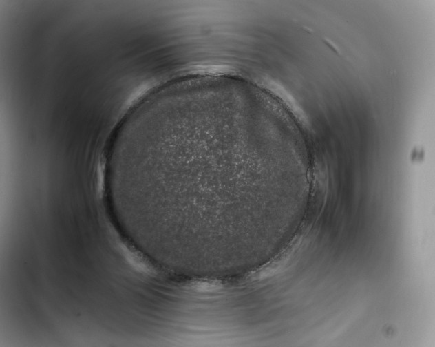 X0000102510110200808221827