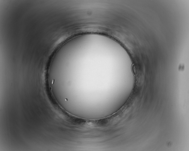 X0000102510111200808221827