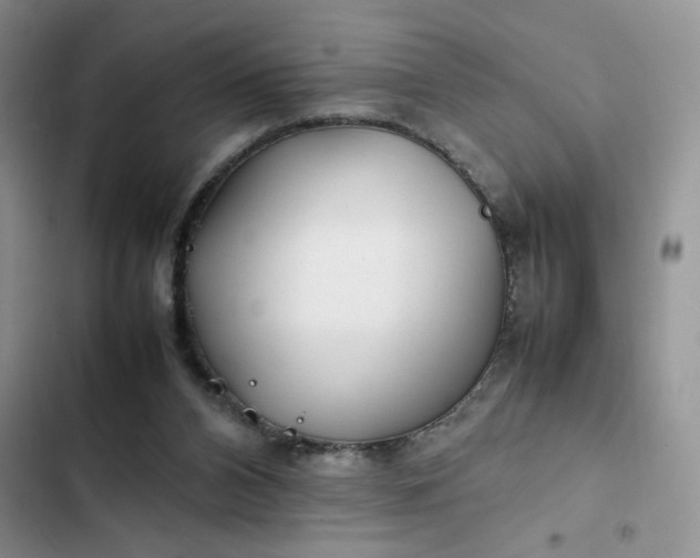 X0000102510112200808221827