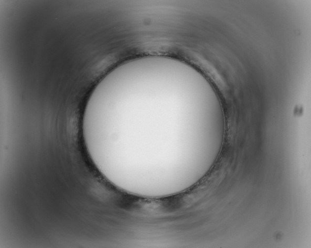 X0000102510113200808221827
