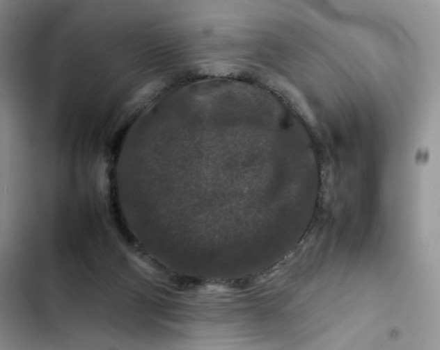 X0000102510114200808221827